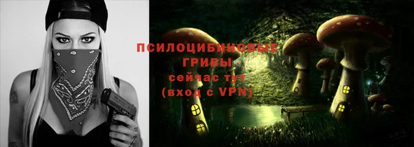 гашик Беломорск