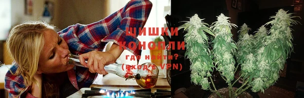 PSILOCYBIN Белоозёрский