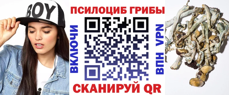 блэк спрут tor  купить  сайты  Кола  Галлюциногенные грибы мухоморы 